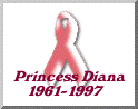 Remember Diana, Princess of Wales